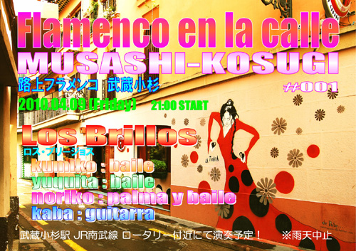 flamencoEnLaCalle_01_500.jpg